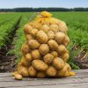 Rašlové pytle na brambory 25 kg – 50 × 78 cm, balení 10 ks