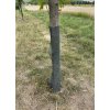 Ochrana stromků proti okusu zvěře – plastová síťovina 33 × 100 cm, 10 ks