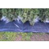 Tkaná textilie, agrotextilie 100g/m2, 10m x 1,6m - černá
