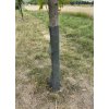 Rukávec na ochranu stromků proti okusu zvěře – šířka 15 cm, metráž