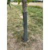 Rukávec na ochranu stromků proti okusu zvěře – šířka 20 cm, metráž