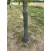 Rukávec na ochranu stromků proti okusu zvěře – šířka 20 cm × 100 m