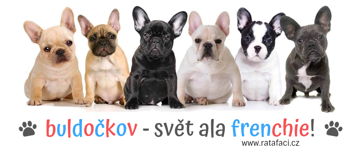 Buldočkov - svět ala frenchie!