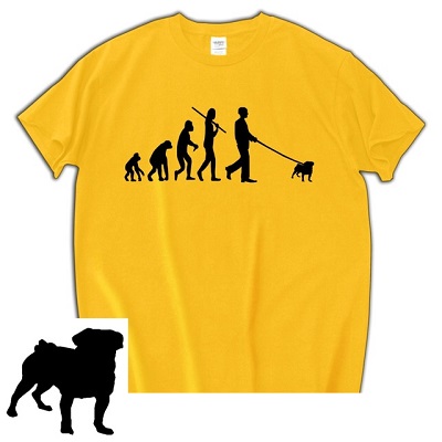 Triko pro kluky mops Evolution Barva: Žlutá, Velikost: M