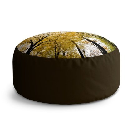 Circle zsámoly fák koronái, sárga