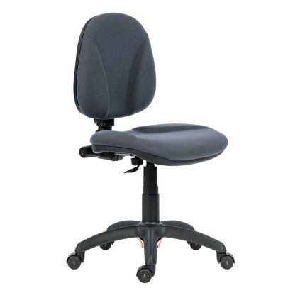 Pracovní židle Ergo Antistatic bez područek, šedá