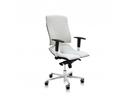 Zdravotní židle Steel Standard+, bílá