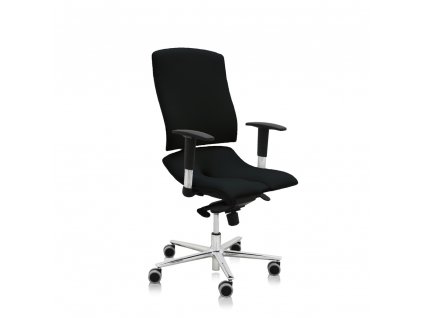 Zdravotní židle Steel Standard+, černá
