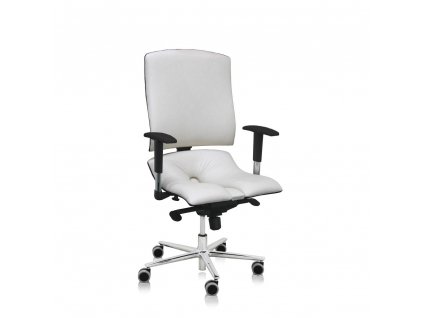 Zdravotní židle Steel Standard+ II, krémová
