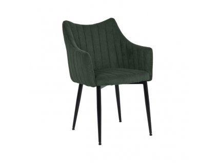 Jídelní židle Monte, zelená / černá