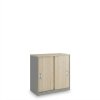 SimpleOffice alacsony szekrény 80 x 40 x 80 cm, világos tölgy / szürke