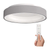 Plafonieră LED cu telecomandă Treviso - 45 cm diametru, gri