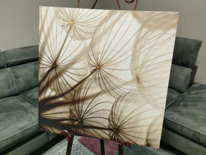 Nový LED obraz pampelišky 60x60cm