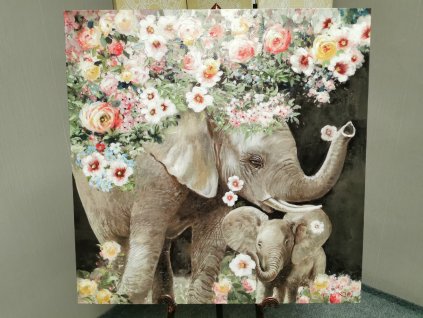 Nový obraz SLONI 80x80 cm