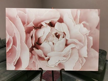 Nový velký obraz RŮŽE 120x80 cm