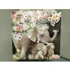 Nový obraz SLONI 80x80 cm
