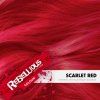 RC Shades ScarletRed onPlatinum scaled