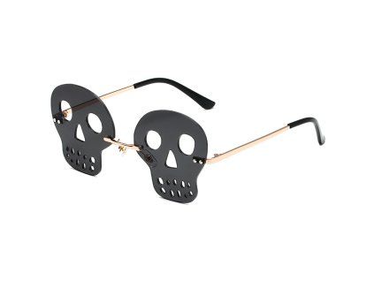 Gafas Skull | Negro
