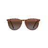 Lunettes de soleil Nectar Goose Tortoise