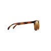 Gafas de sol Nectar Tahoe - atigradas