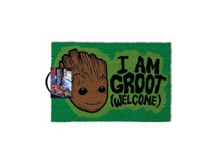 iamgrootdm 1
