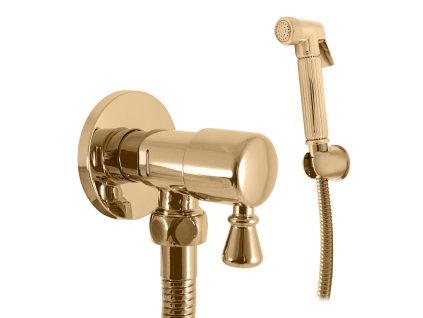 5539 1 nastenny ventil s bidetovou sprskou a drzakem zlata leskla sk6605 1z rav slezak
