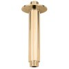 1666 1 drzak sprchy pro hlavovou sprchu zlata leskla md0311z rav slezak