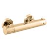 7783 1 termostaticka sprchova baterie zlata leskla trm81 5z rav slezak