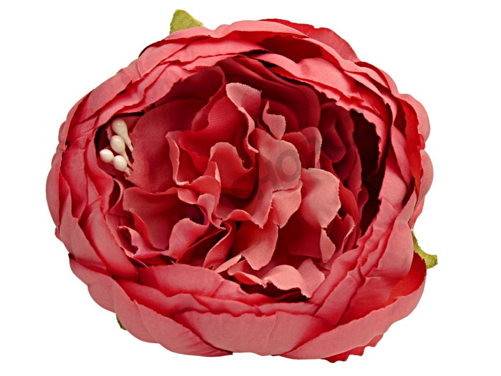 Produkt č. 1636 1 cherry