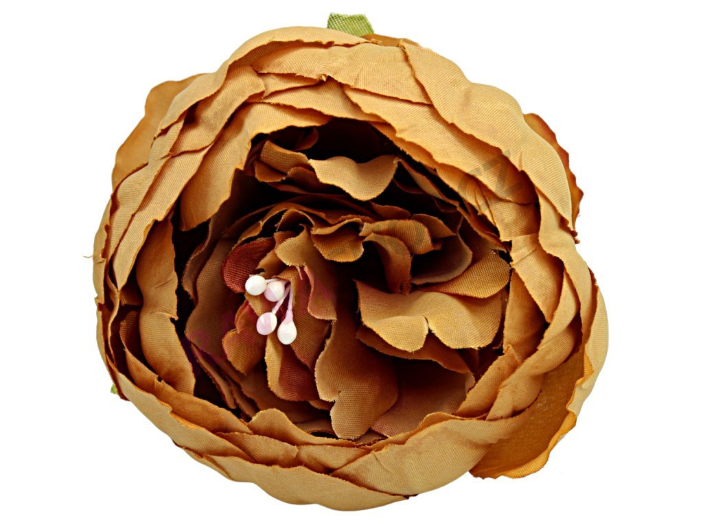 Produkt č. 1636 4 beige