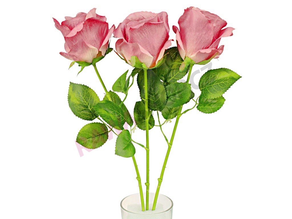 Produkt č. 2068 1A kod B08 221 cream mauve edge