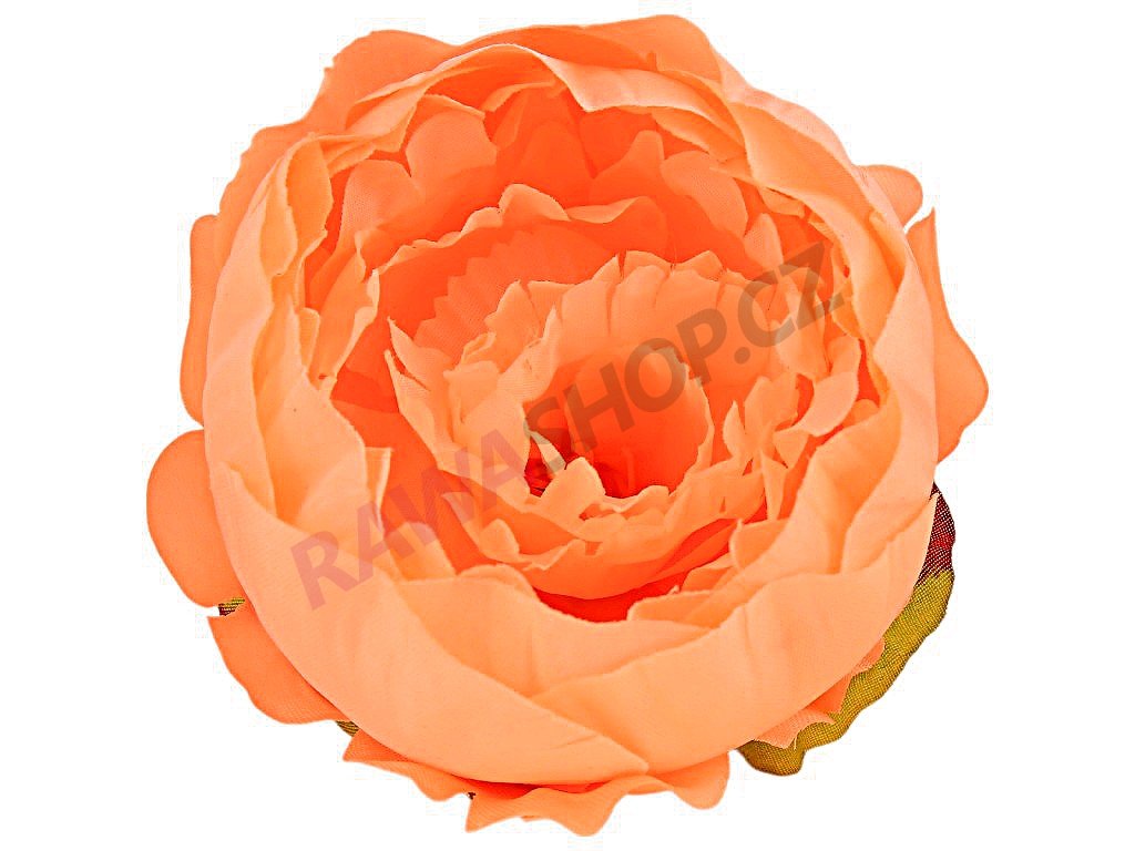 Produkt č. 2354 5A B07 12 salmon