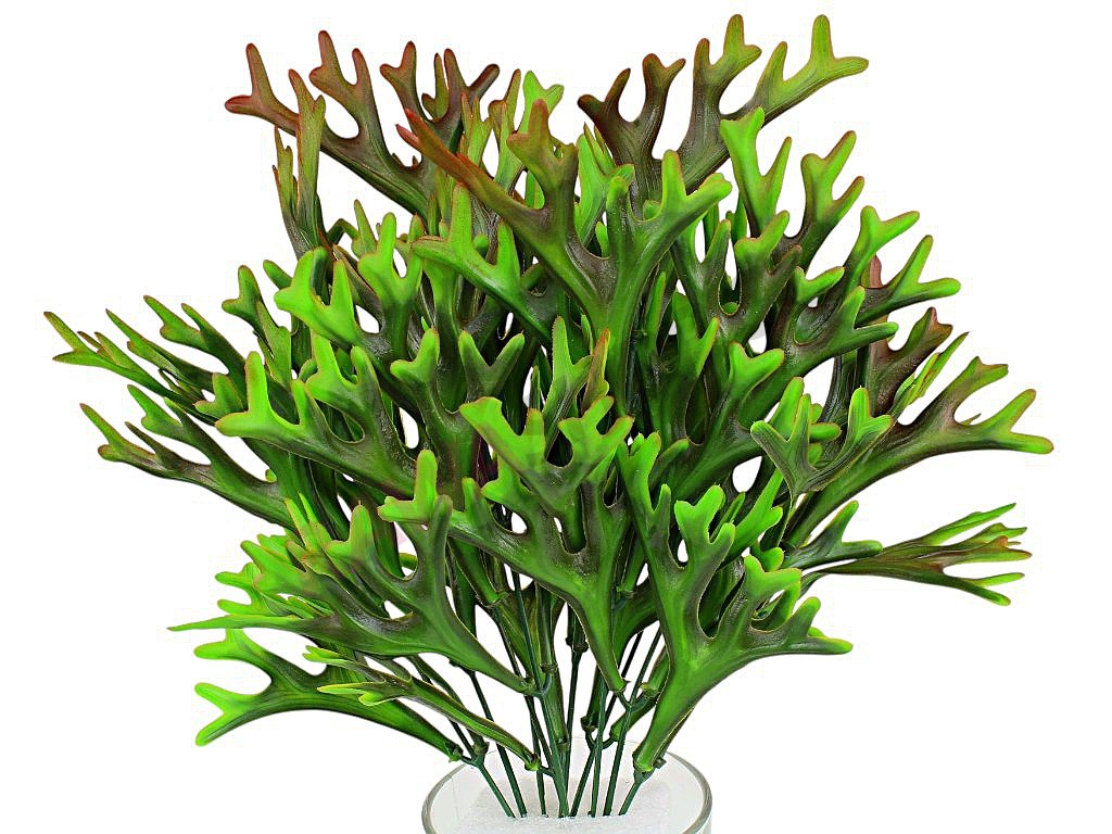 Produkt č. 2362 2A U57 01 k green brown