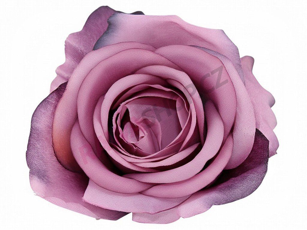 Produkt č. 2704 1A k plum black
