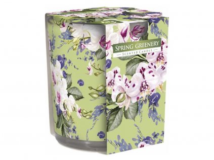 76. sn72s 52 wiosenna zieleń