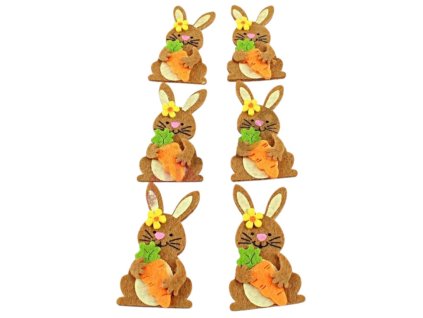 transparent Photoroom (1)