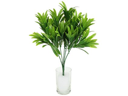 Ruskus větvička 1ks(5větviček) - zelená