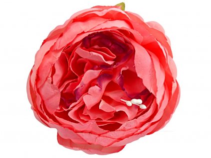 Produkt č. 1613 2A coral