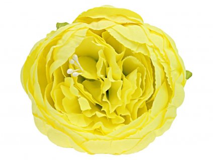 Produkt č. 1613 4A lemon