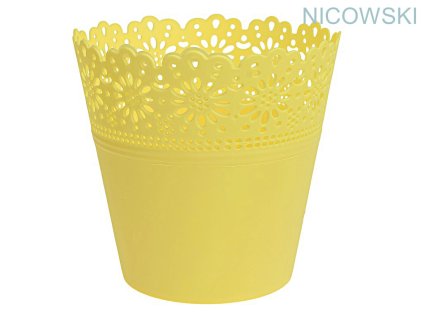 Primulka žlutá pastel