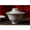 GAIWAN 04 (90ml)