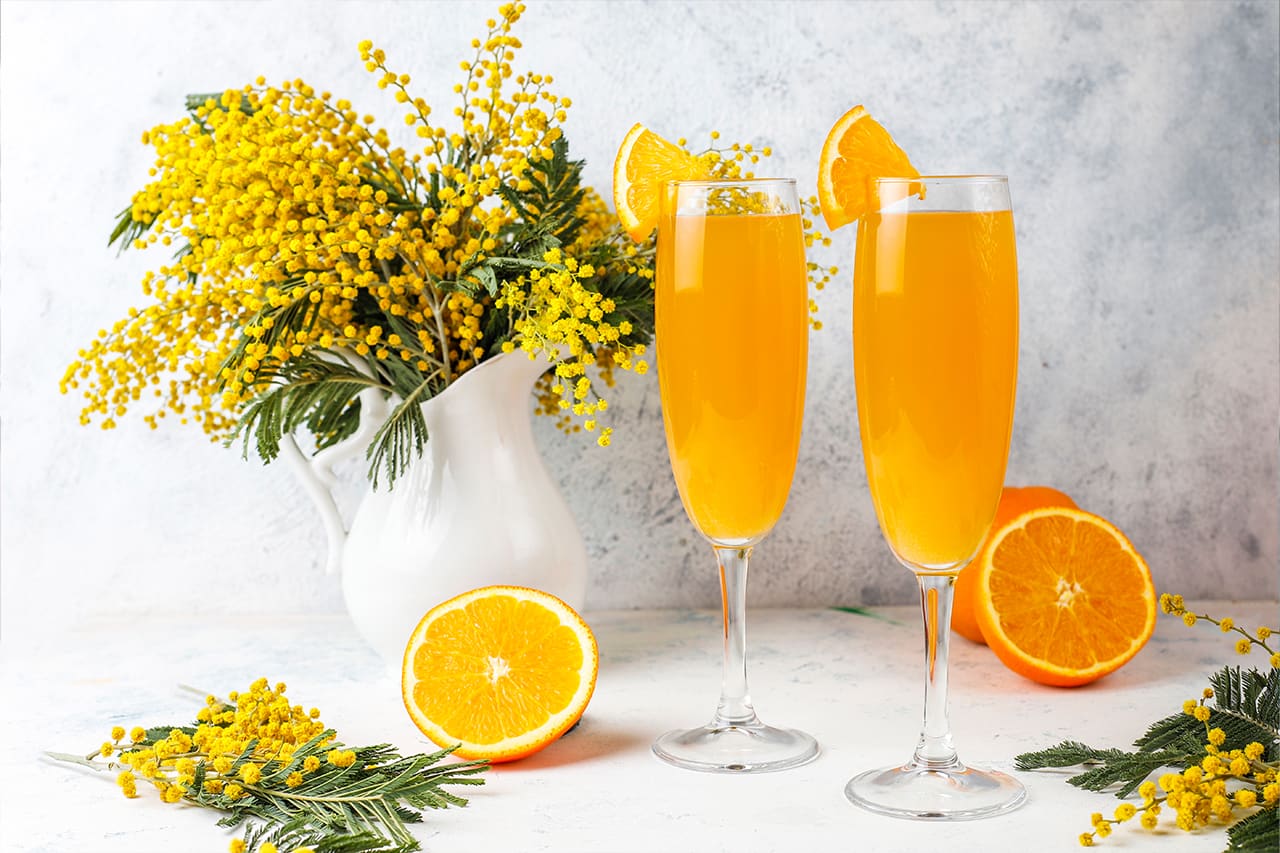 mimosa