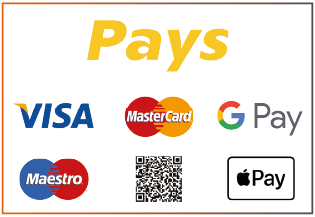 Bezpečné platby přes platební bránu Pays