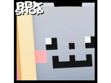 Huge Nyan Cat