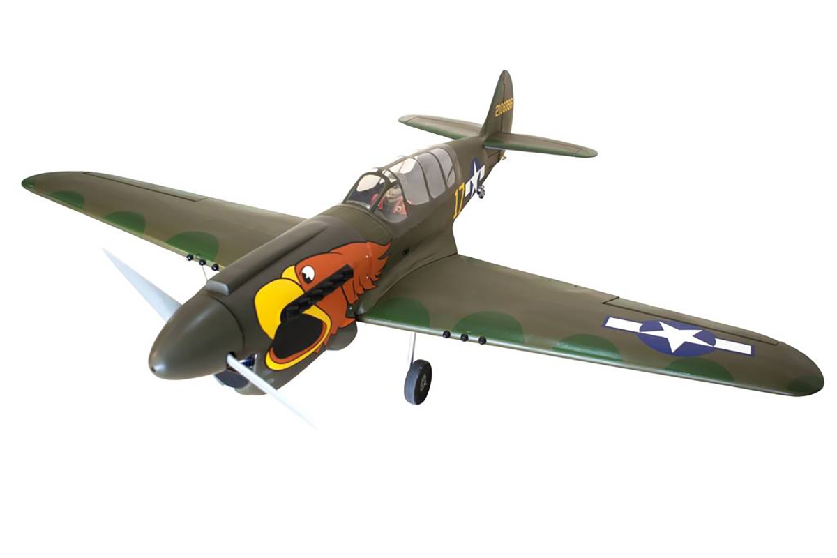 Fotografie produktu: Seagull P-40N Warhawk 2,03m (Zatahovací podvozek) Parrothead