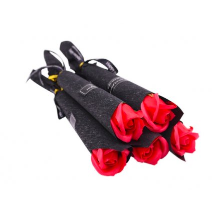 ZAM 018 Růže, která vydrží4