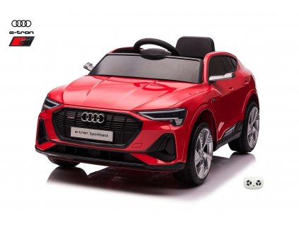 Audi E tron víno 1