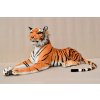 Tygr střední oranž 4