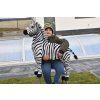 Zebra 14