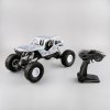 Snow crawler 4WD 1/10